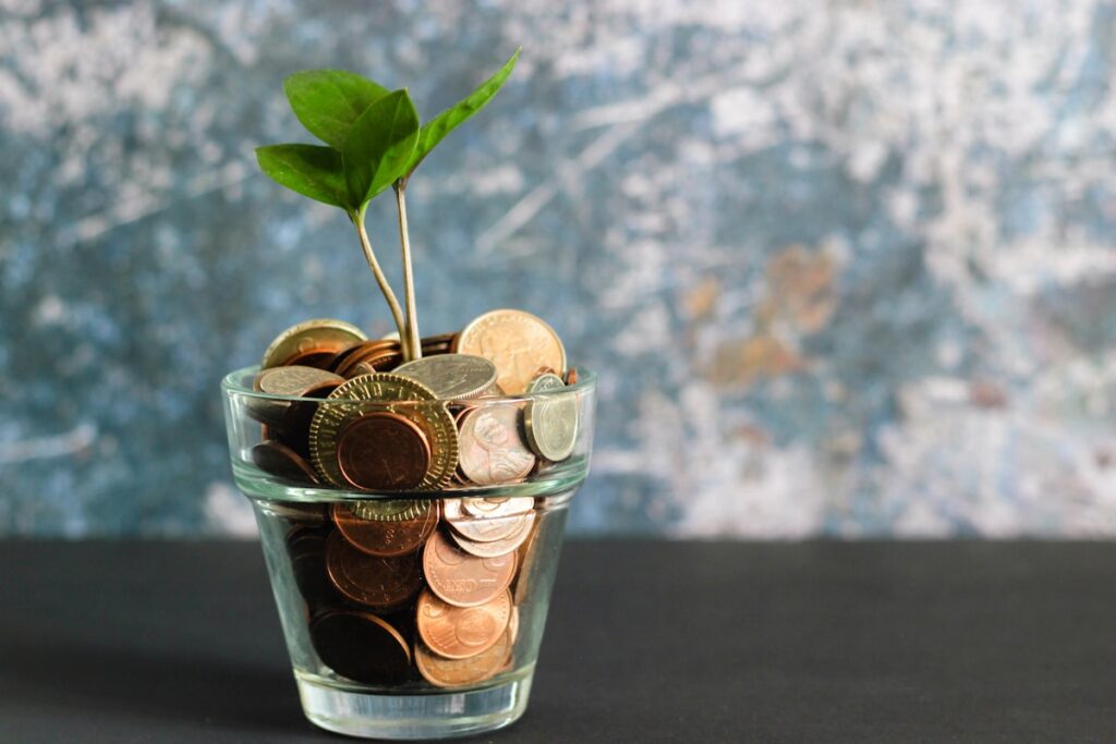 Making extra money side hustle